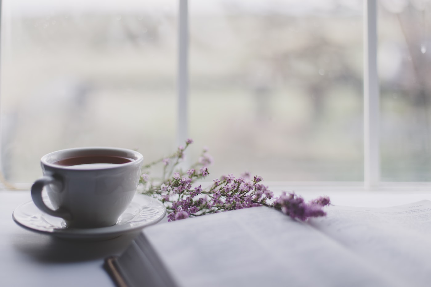 Xícara de chá e flores sobre um caderno aberto, com luz suave da janela